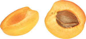 Apricot PNG-12642
